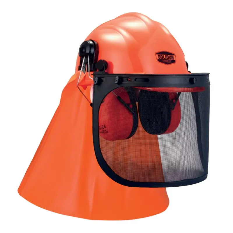 Casque Forestier Complet CA01 - Protection Tête, Visage et Ouïe